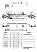 Гидроцилиндр КГЦ 63-40-800-09