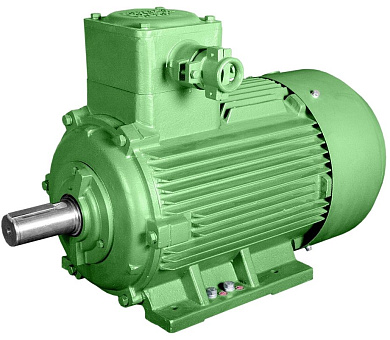 Взрывозащищенный электродвигатель BAO2 315M8