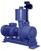 Насос ВВНС-0,3