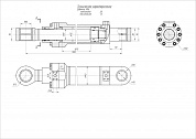 Гидроцилиндр ЦГ-115.80х1075.22