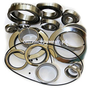 129826 Ремкомплект подшипников и уплотнений EVO2